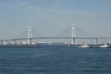 090329009