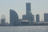 090329010
