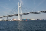 090329011