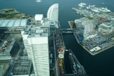 090329023
