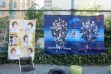 DSCN3129