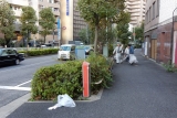 DSCN9877
