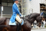 DSCN0602