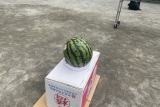 2022-08-07_09-49-24_002